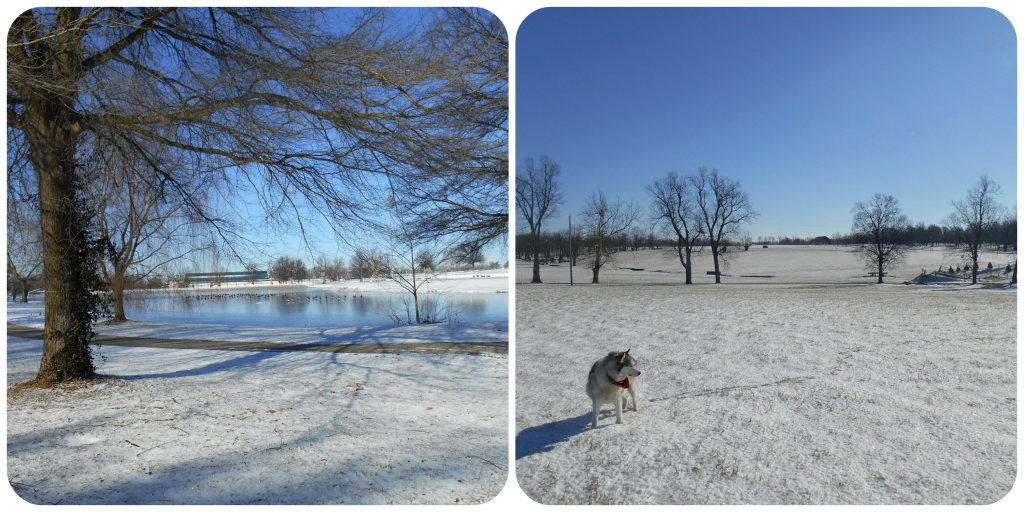 snow collage