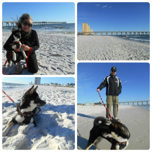 pier pics