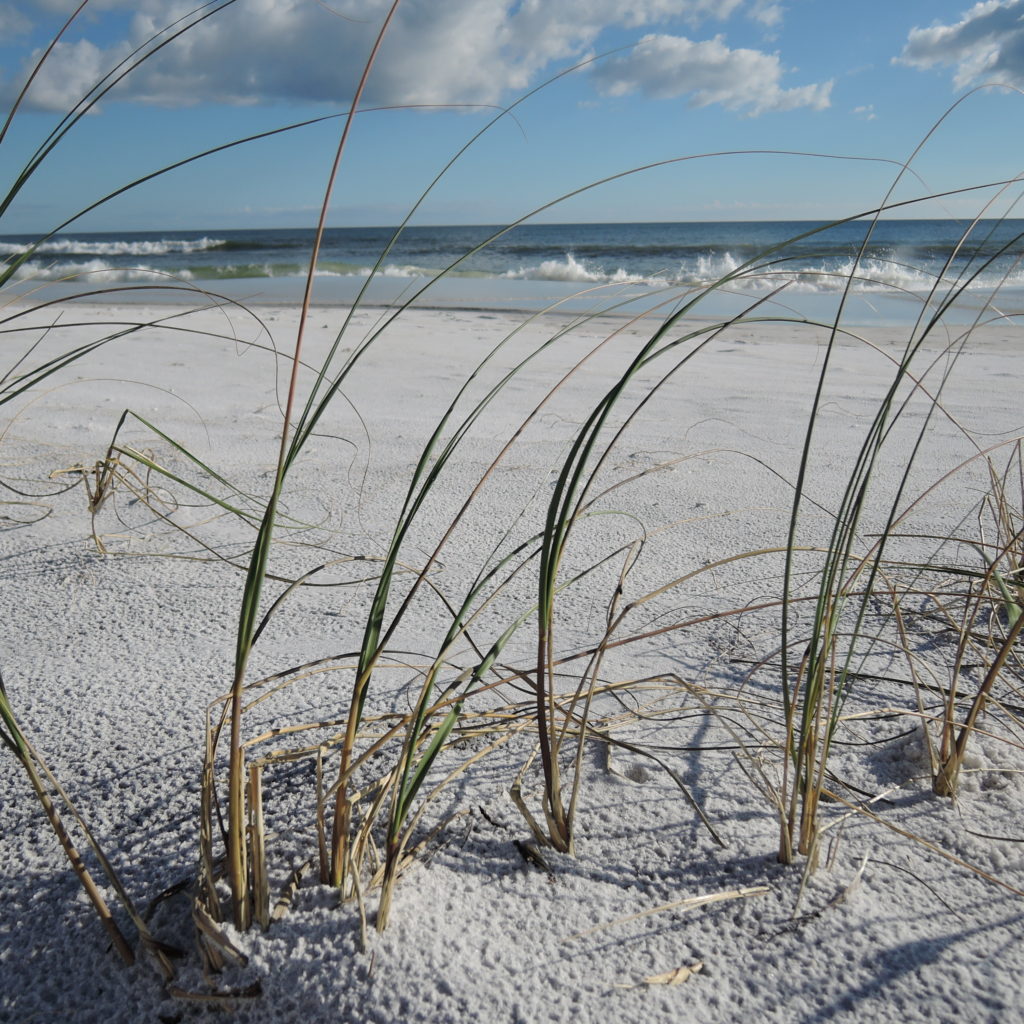 Topsail Hill Preserve State Park