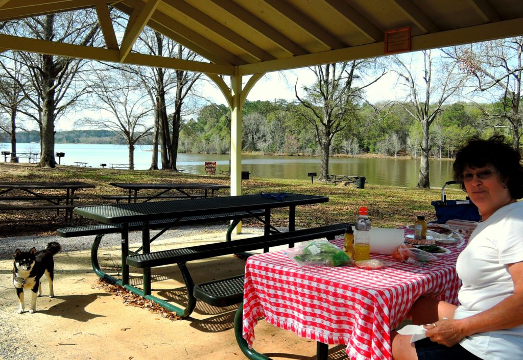 picnic